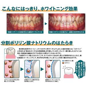 �z���C�g�j���O����