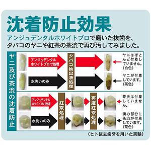 ���������ێ�