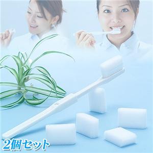 �z���C�g�L���[�u