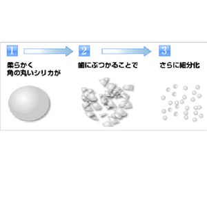 �z���C�g�j���O