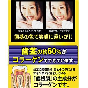 �I�[�����P�A