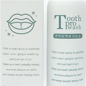 �}�E�X�E�H�b�V��