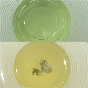 ���L�̔Y��